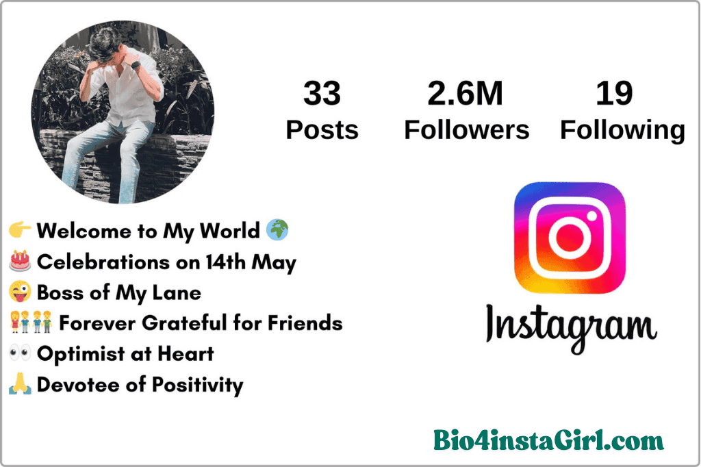 instagram bio for boys attitude