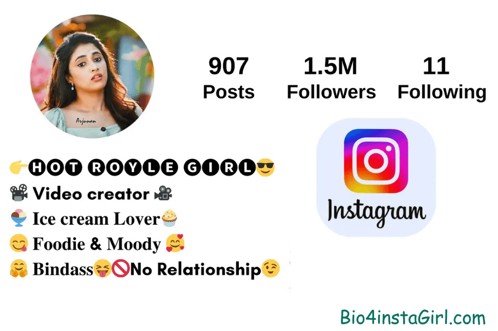 instagram bio for girl