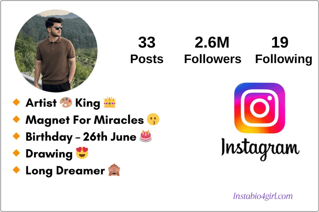 instagram bio for boys