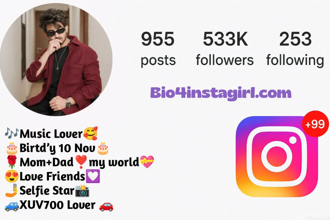 Attitude Bio for Instagram
