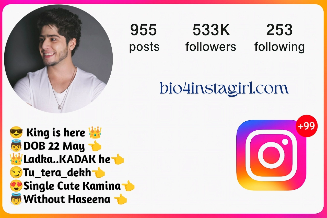 Instagram Bio for Boys Stylish Font